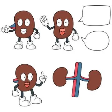Vector set of kidney cartoon Stock Illustration