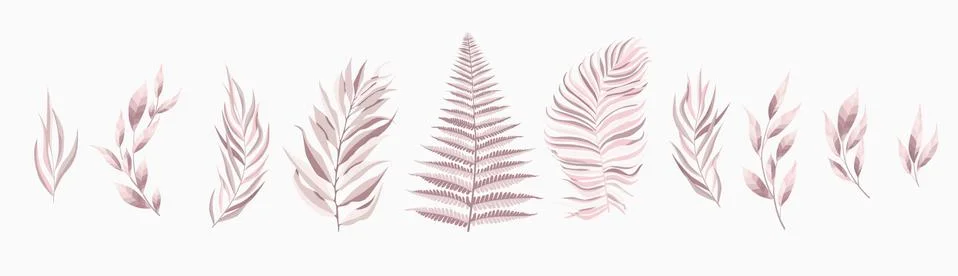 Vector set leaf. Pink leaves on white background. Vector illustration. Stock Illustration