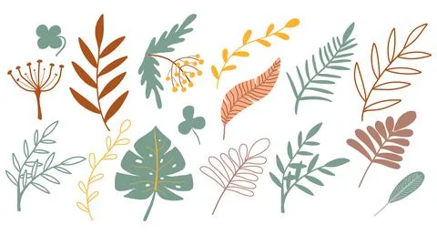 Vector set of leaves in boho style. Stock Illustration