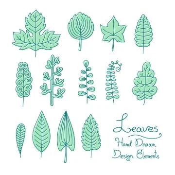 Vector set of leaves in cartoon style Stock Illustration