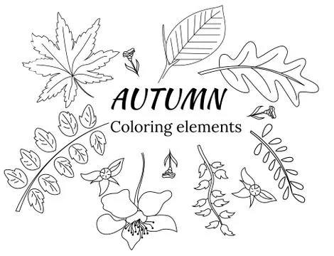 Vector set of leaves in doodle for coloring books Stock Illustration