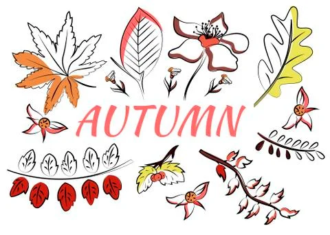Vector set of leaves in doodle style. Hand drawn Stock Illustration