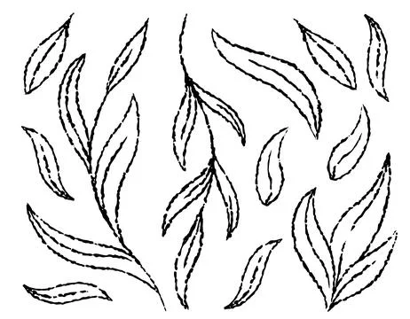 Vector set of leaves drawn with a brush simple graphic design. Line leaves .. Stock Illustration