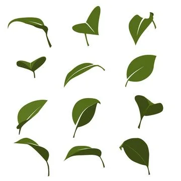 A vector set of leaves in a green palette Stock Illustration