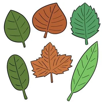 Vector set of leaves Stock Illustration