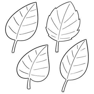 Vector set of leaves Stock Illustration