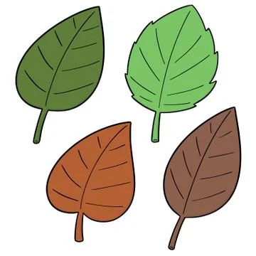 Vector set of leaves Stock Illustration