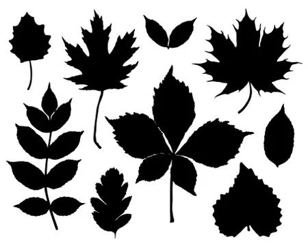 Vector set of leaves silhouette Stock Illustration