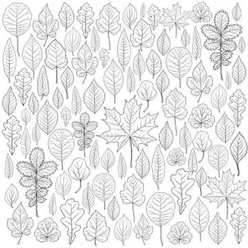 Vector set of leaves silhouette Stock Illustration