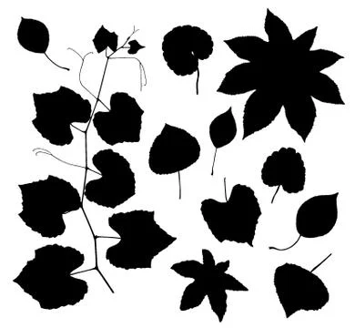Vector set of leaves silhouette Stock Illustration