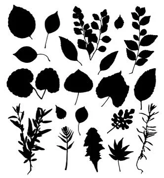 Vector set of leaves silhouette Stock Illustration