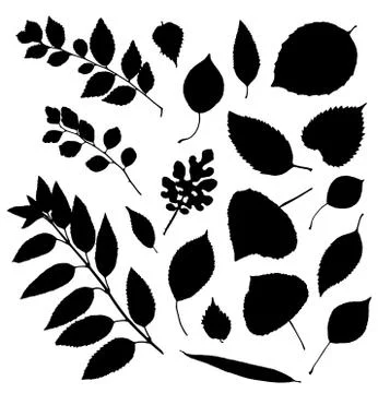 Vector set of leaves silhouette Illustrazione stock