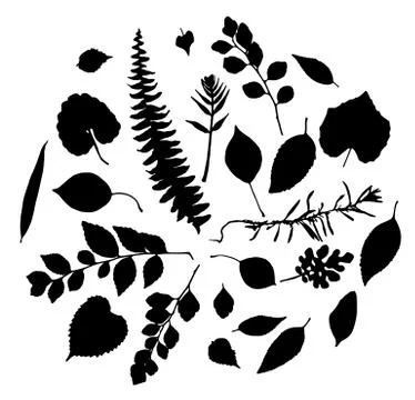 Vector set of leaves silhouette Stock Illustration