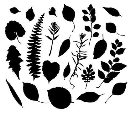 Vector set of leaves silhouette Stock Illustration