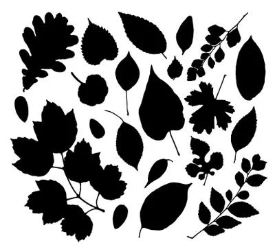 Vector set of leaves silhouette Stock Illustration