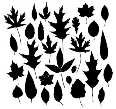 Vector set of leaves silhouette Stock Illustration