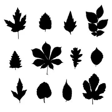 Vector set of leaves silhouette Stock Illustration