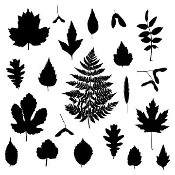 Vector set of leaves silhouette Stock Illustration