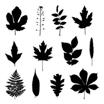 Vector set of leaves silhouette Stock Illustration