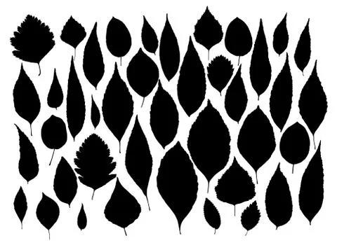 Vector set of leaves silhouette Stock Illustration