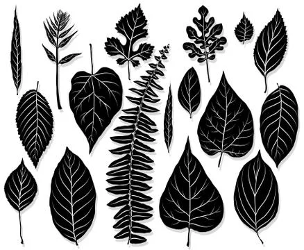 Vector set of leaves silhouette Stock Illustration