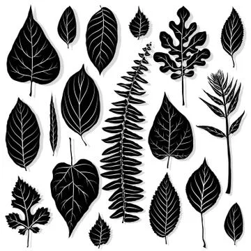 Vector set of leaves silhouette Illustrazione stock
