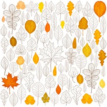 Vector set of leaves silhouette Illustrazione stock