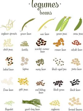 Vector set of Legumes and beans in flat style isolated on white Stockillustratie