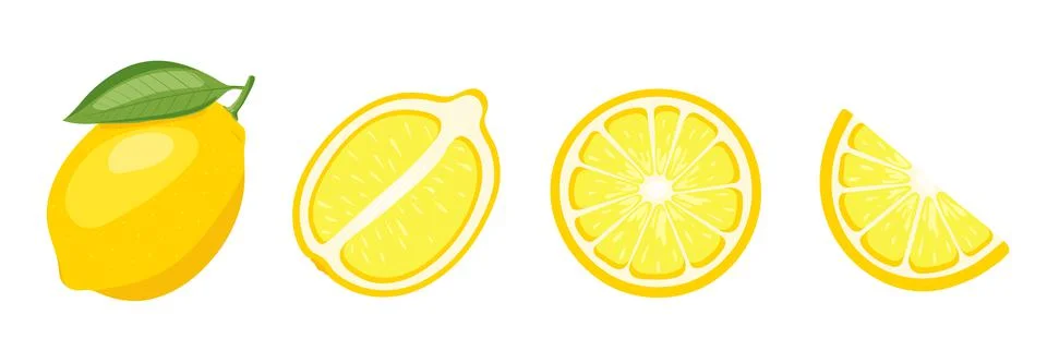 Vector set of lemon, vector illustration on white horizontal background Stock Illustration