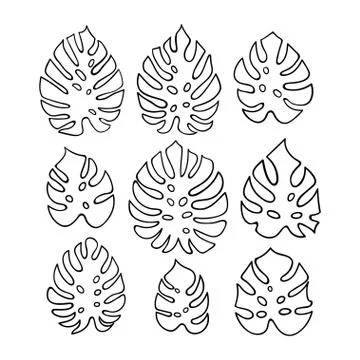 Vector set of line tropical leaves Stock Illustration