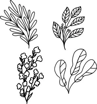 Vector set of linear drawing of leaves and flowers on a white background. For Stock Illustration