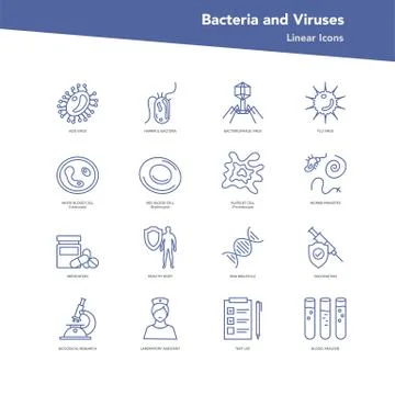 Vector set of linear icons - Bacteria and viruses イラスト素材