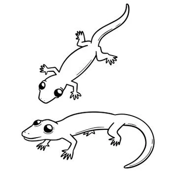 Vector set of lizards Stock Illustration