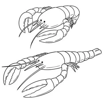 Vector set of lobster Stock Illustration