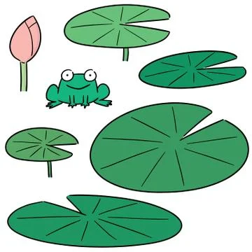 Vector set of lotus Stock Illustration