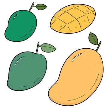 Vector set of mango Stock Illustration