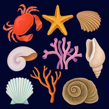 Vector set of marine elements. Red crab, starfish, tropical corals and shells 스톡 일러스트