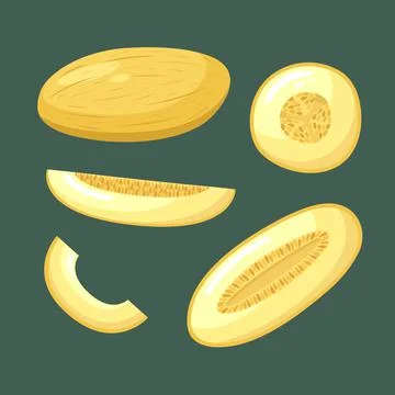 Vector set of melon illustrations. Summer fruits Illustrazione stock