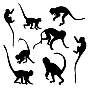 Vector set of monkey silhouettes on white background Stock Illustration