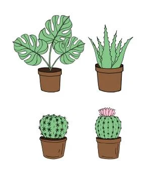 Vector set of monstera plant and cactus in pots Stock Illustration