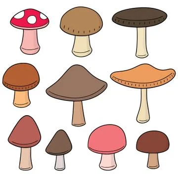 Vector set of mushroom Stock Illustration