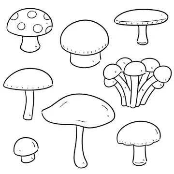 Vector set of mushrooms Stock Illustration