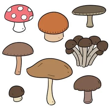 Vector set of mushrooms Stock Illustration