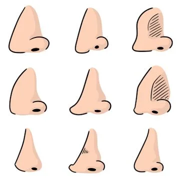 Vector set of nose Stock Illustration