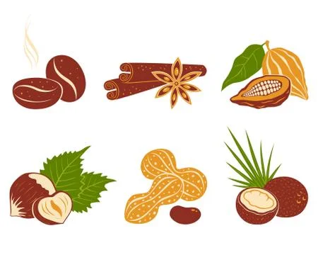 Vector set nuts icons. Stock Illustration