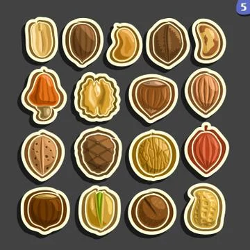 Vector Set of Nuts icons Stock Illustration