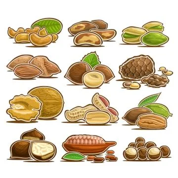 Vector set of Nuts Stock Illustration