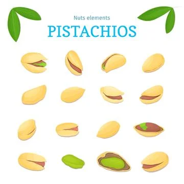 Vector set of nuts. Stock Illustration