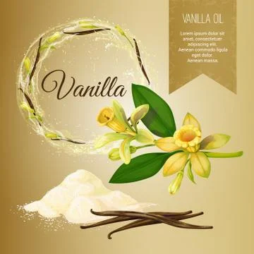 Vector set of objects on the theme of vanilla and its application. Vanilla .. Illustrazione stock