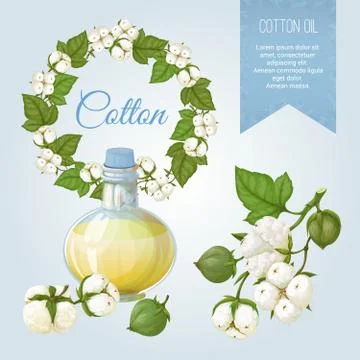Vector set of objects on the topic of cotton, its fruits and its applicatio.. Illustrazione stock